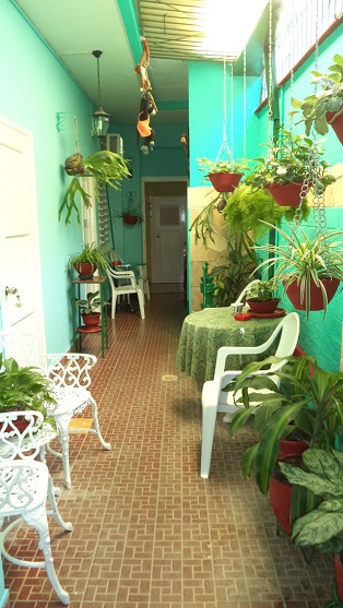 'Patio interior' Casas particulares are an alternative to hotels in Cuba.